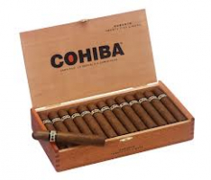 Cohiba Robusto